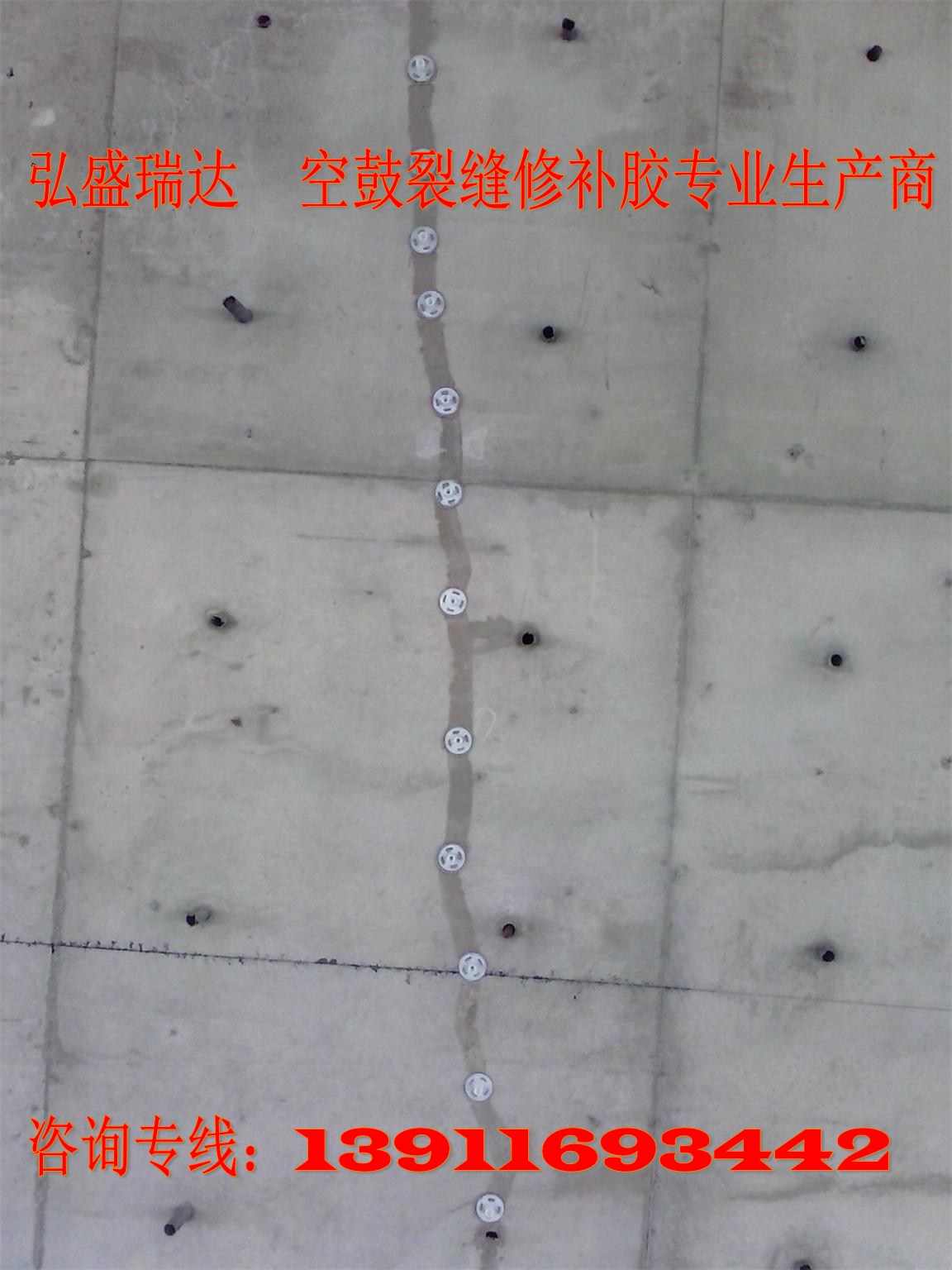 ɴuչah֬zaSҺӱͤ139/11693/442