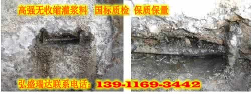 ߏoտs{N۲|P139/11693/442