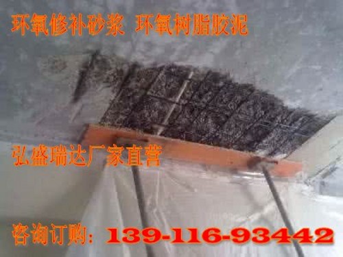 Ɠpޏͣh֬ɰ{SֱNĴ139/11693/442