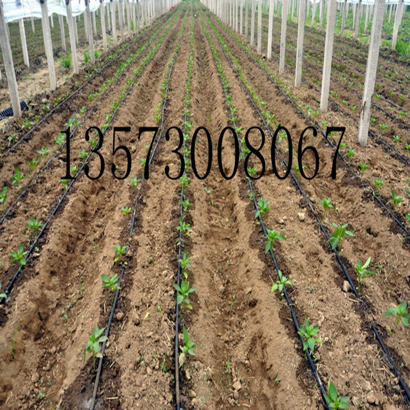 ׵ι๤OӋ ɽˎι๤OӋ R}ι๤OӋ