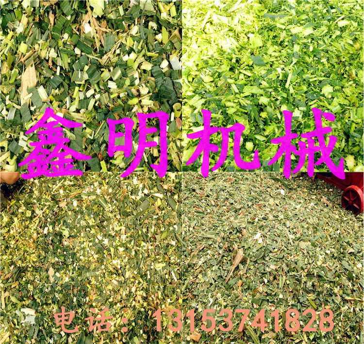 ׽ն厲ݙC| Сaţ厲ݙCȫ