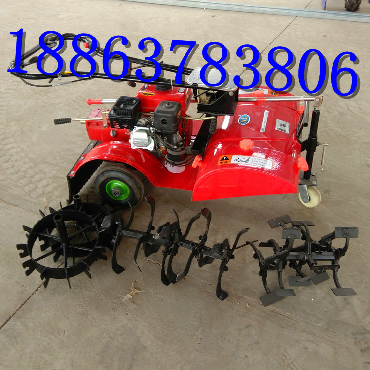 ɳr(nng)(q)΢C ʽ(q)΢CS