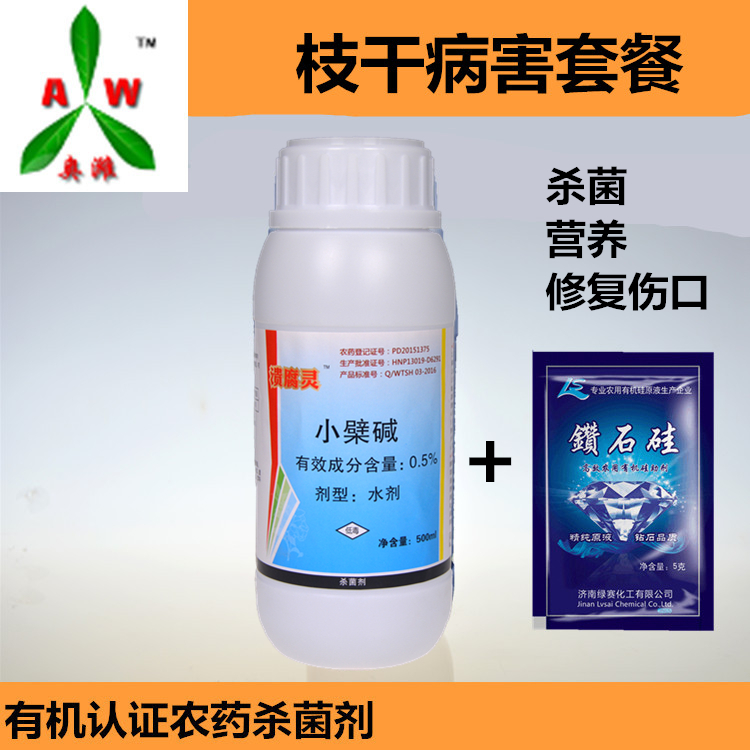 ߲˲M(jn)r(nng)I(y)Σ