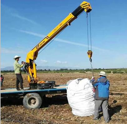 С܇СCS܇\CС͵܇С͵C