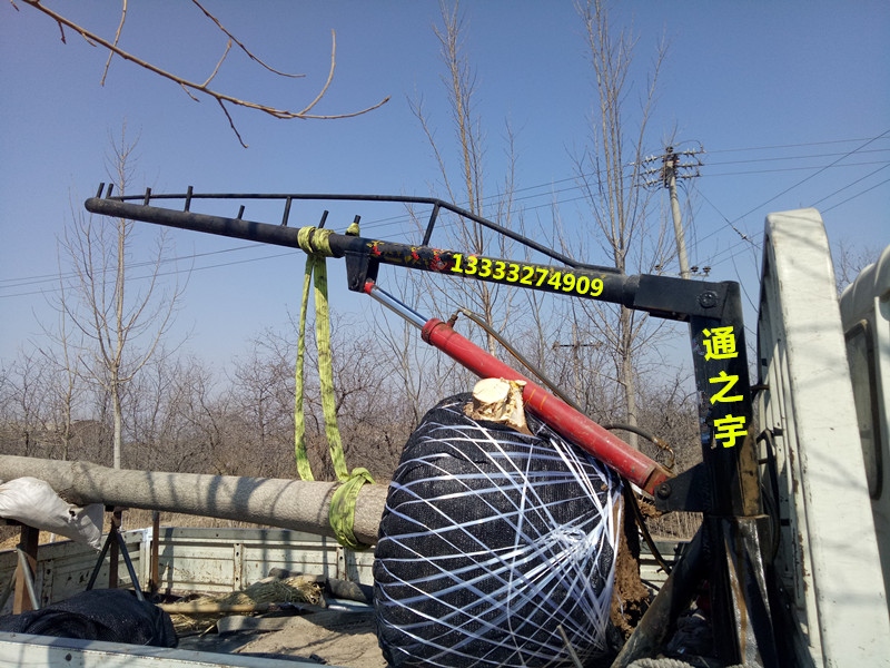 С܇СCS܇\C܇΢͵CС͵܇С͵C