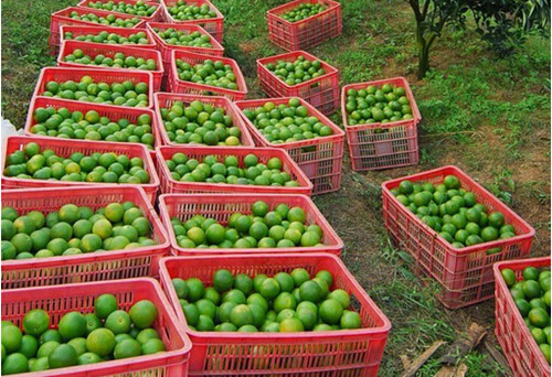 dx߲˻j|~߲˿|호Oj|zSϻj