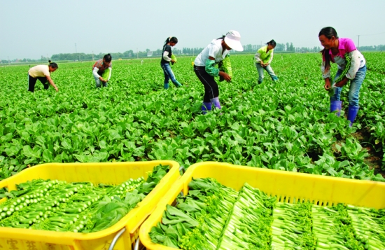 |PˮDj|Pѻj|ˮj|߲ˮj|ʑz|