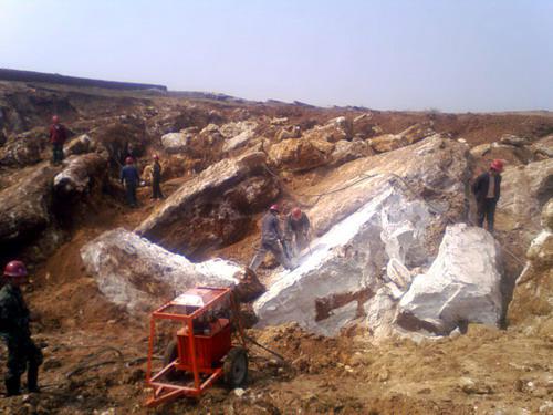 ydc^ڙCљChCdљCSֱN