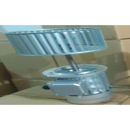 꿾LѭhLSLCͱ϶ŷ늙C