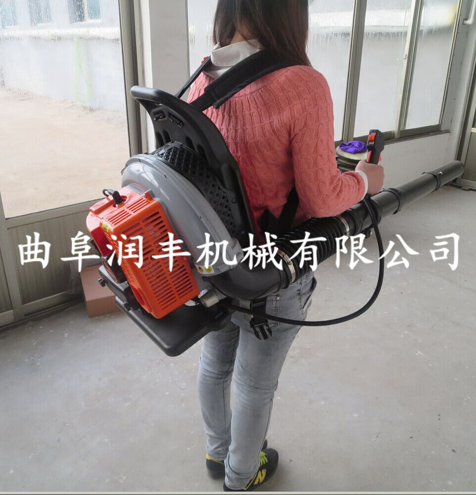 ؓʽѩC ﴵѩC   ·~C