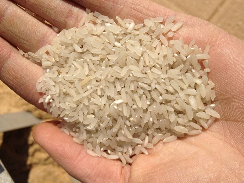 ˮӹO  rיC  ˮיC  ÓƤיC