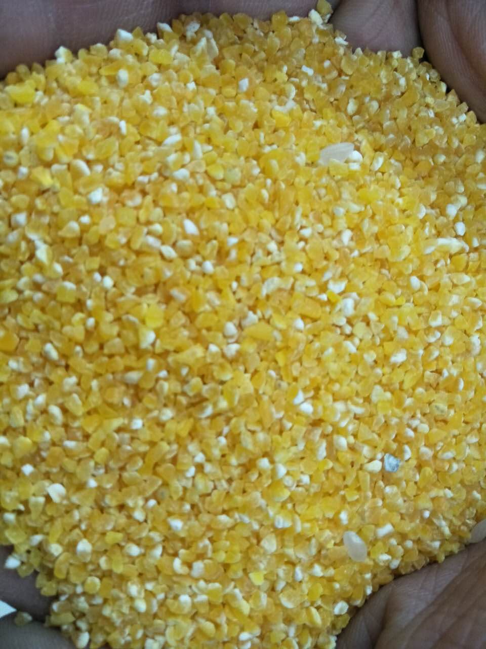 |ײәC  СͰÓƤƼRC