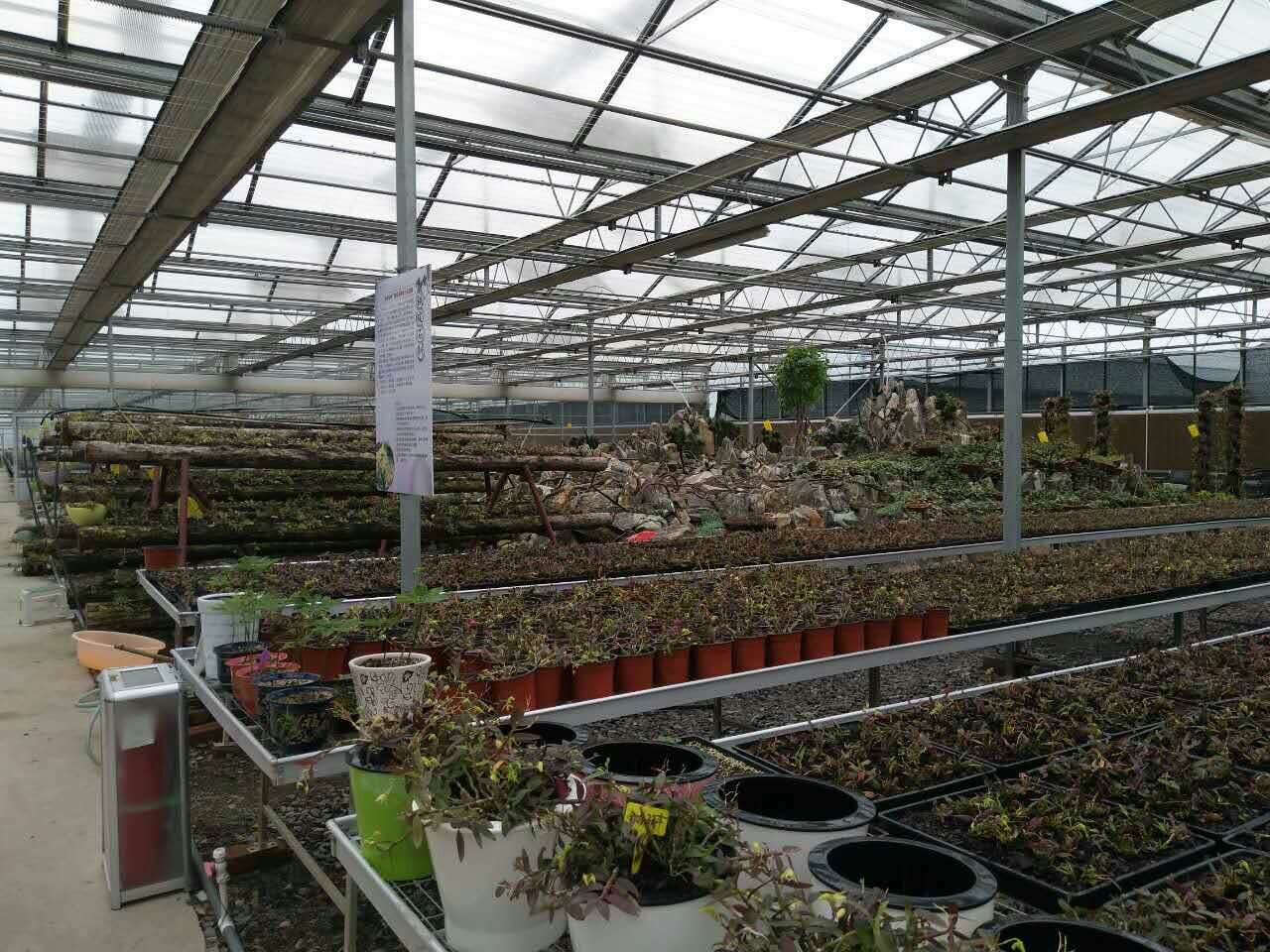 (yng)ɽ|2018(ji)߲˷NֲҴr(ji)_2018ҴｨO(sh)S