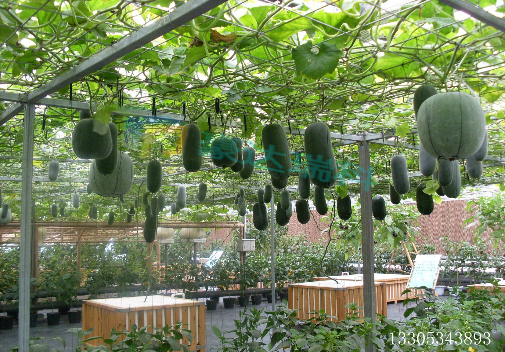 2018ҹǼܟN ɽ|RʏҴǼ܏SҟN