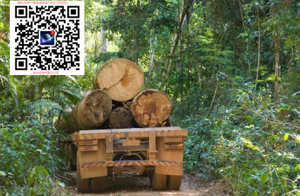 ĴJarrah/Z,޼tľ/tľ Ӳľ