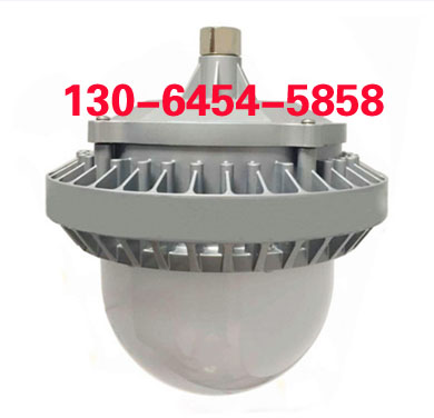 LED픟NGC9822 80W-230Wʶ