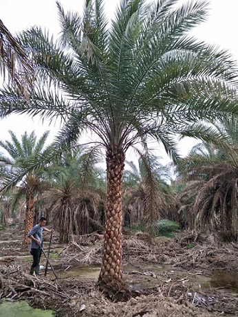 Ж|U5-6ףGе䣬ľֱN