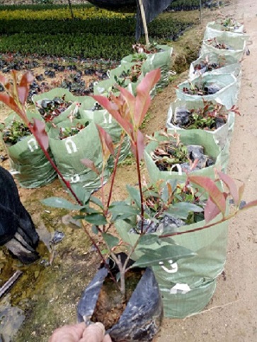 t~ʯ骣@ֹ̾G|rͣľֱN