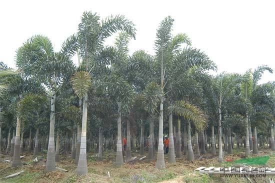 дl(f)βҬӘ   βҬӘĈr