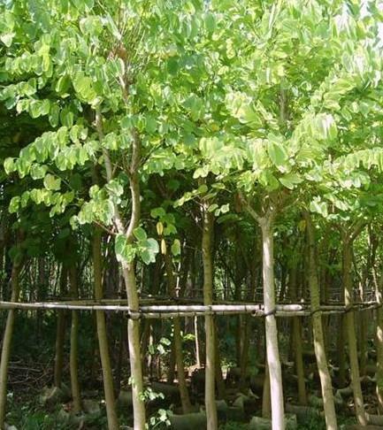 mGGе䣬΃r񃞻ݣֱN