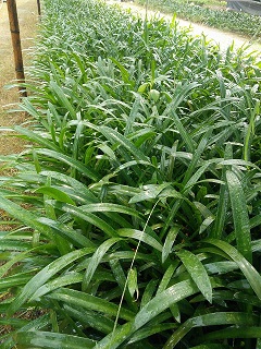 ֩mʲôc(din)֩mЈDƬ