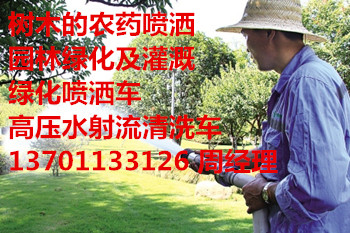 S_ҸGhlS@־Gˮ137һ0113һ3126