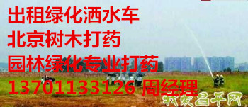 KݘhlSGˮ137һ0113һ3126