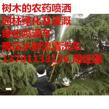 쉯hlСW@־Gˎ137һ0113һ3126