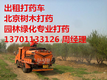 VҕWۭhlֈ@־Gˮ139P119P40595