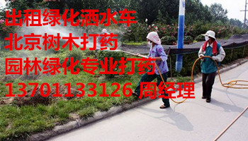 xʯۭh(hun)l(wi)؛ͤ@־Gˮ137һ0113һ3126