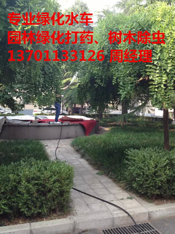 dʯͻW(xu)Ժh(hun)l(wi)ʊy͘ľr(nng)ˎ137һ0113һ3126