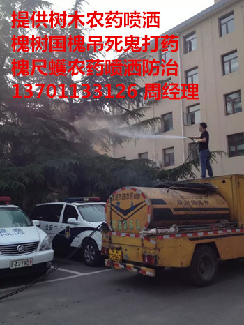 T^ȪhlMվľrˎ137һ0113һ3126