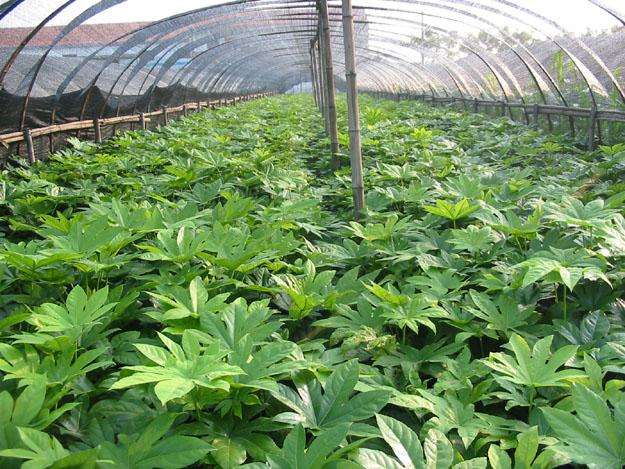 ˽ǽPҎ(gu)ж˽ǽPwʲô