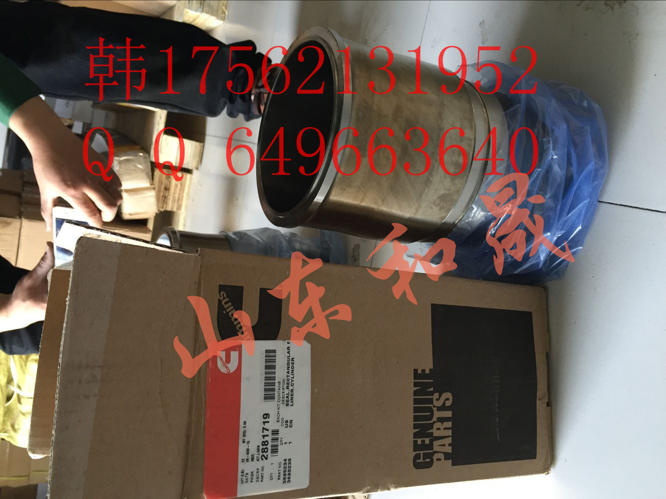 ˹QSX153685235/2881719