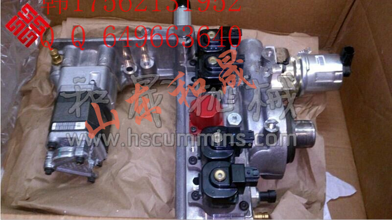 Ńr؃rʿھC˹QSX15ȼͱ