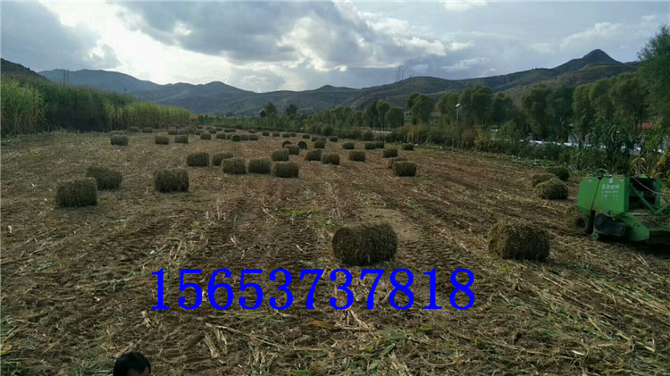 STH1650|N(xio)۽նոC(j)r(ji)