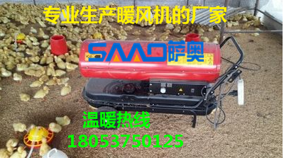 ɽ|ȼůL(fng)C  ůL(fng)Cl(f)a(chn)S