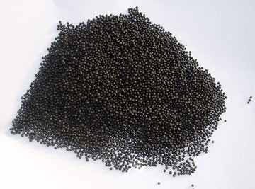 |ЙCЙCSo̎l(f)м˴