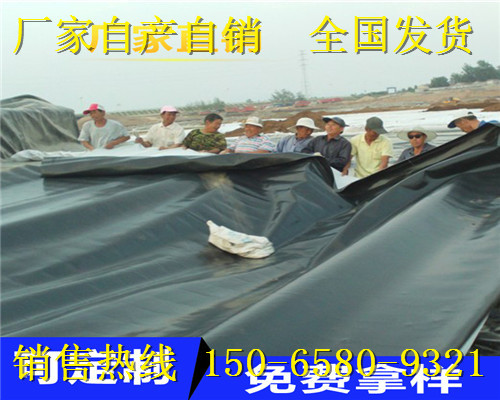 %gӭR#|IBĤSֱN&FI޹˾gӭ|I