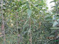 ʯf硢ٝʙ硢UҞ硢硢硢Mɽtľl