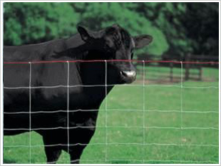 _Һϵy(tng),Һ,Һ͸,A̰ٳƼ޹˾