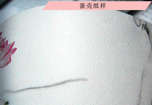 z˺OӋӡˢӡˢSƺɽϼs؛