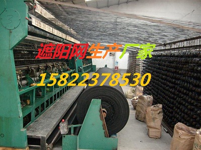 [ꖾWS] [ļꖾW] [rIꖾW] [ꖾW]