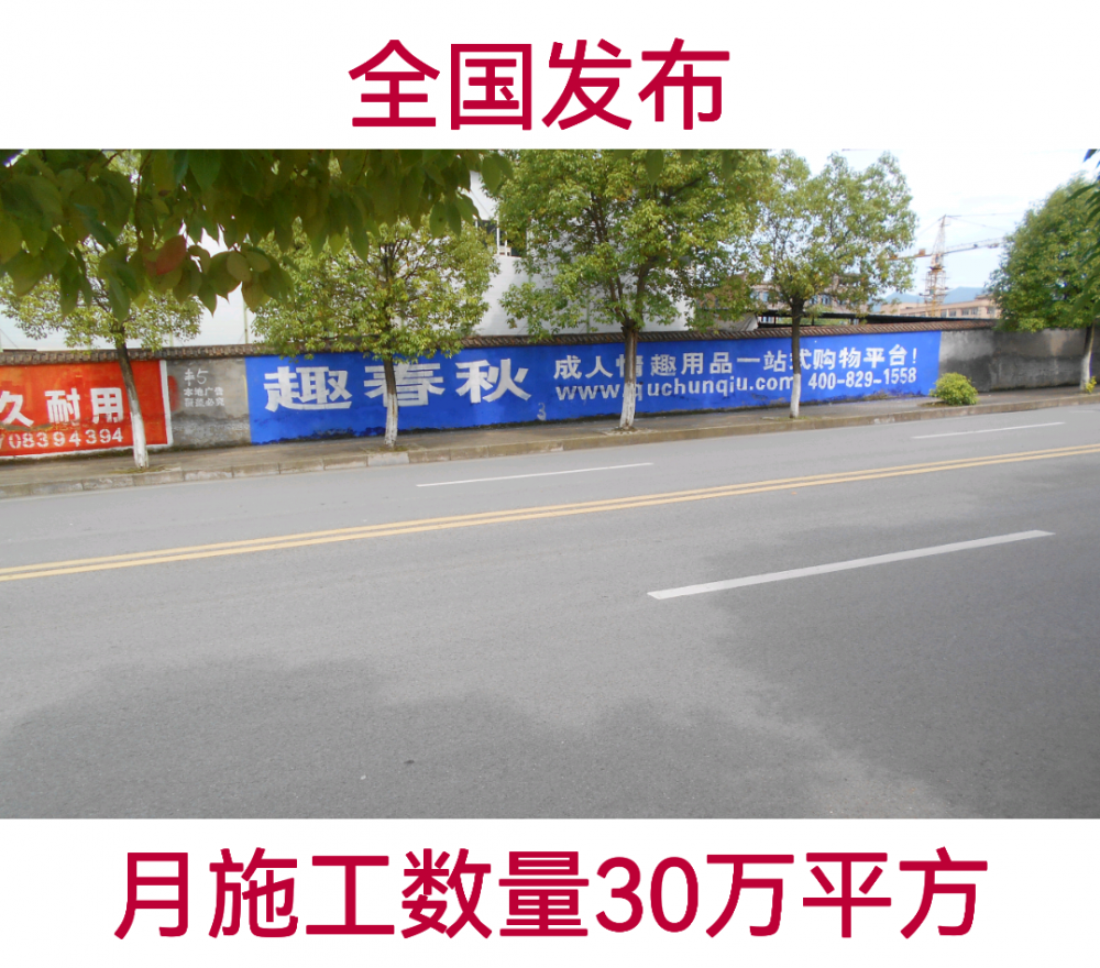 ݿhꑴh LwV l첼ͿV *** ***Ͷ