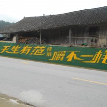 ꖉw첼VhT^ʩMãʩ***