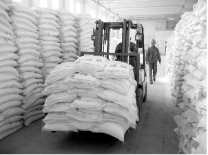 L(zhng)ɳ̶(yng)Ч珊(qing)