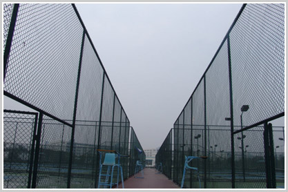 (yng)ƽW(wng)B(yng)ֳùW(wng)W(wng)þW(wng)ͨڷo(h)W(wng)