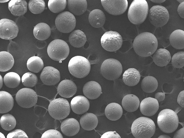 T쌣ɰ-T쌣΢-\ŽɰS