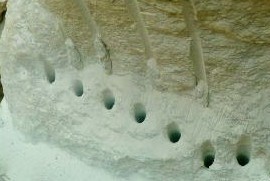 SN۳o鄩]o鄩Û