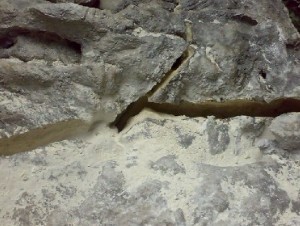 I(y)a(chn)ꖟo鄩,Sa(chn)䓽鄩